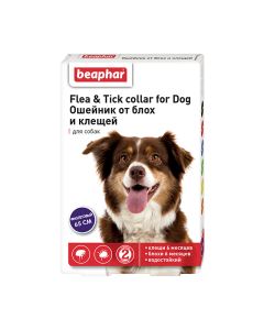 Dyazynon - Beafar Flea & Tick Collar Dog collar purple from fleas 6 months. and ticks 6 months. 65 cm 1 pc. florida Pharmacy Online - florida.buy-pharm.com