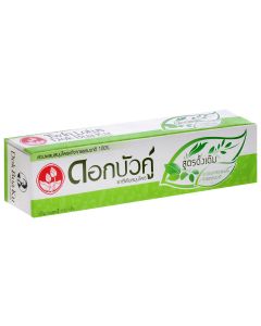 Buy Twin Lotus Toothpaste 'Herbal Original' With herbs original, 100 g | Florida Online Pharmacy | https://florida.buy-pharm.com