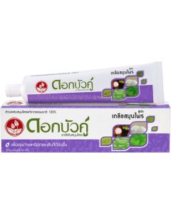 Buy Twin Lotus Toothpaste' Herbal Plus Salt 'with herbs and salt, 90 g | Florida Online Pharmacy | https://florida.buy-pharm.com