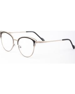 Buy Ready-made reading glasses with +1.25 diopters | Florida Online Pharmacy | https://florida.buy-pharm.com