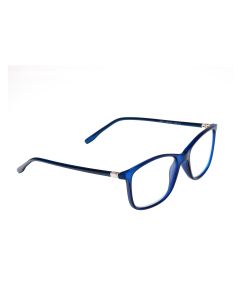 Buy Ready-made reading glasses with +2.5 diopters | Florida Online Pharmacy | https://florida.buy-pharm.com
