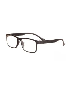 Buy Ready-made reading glasses with +1.25 diopters | Florida Online Pharmacy | https://florida.buy-pharm.com