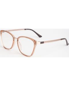 Buy Ready-made reading glasses with +2.5 diopters | Florida Online Pharmacy | https://florida.buy-pharm.com