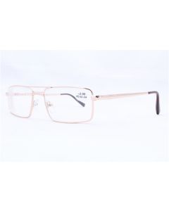 Buy Ready-made glasses for vision Discovever 002 (gold) | Florida Online Pharmacy | https://florida.buy-pharm.com