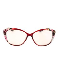 Buy Ready-made reading glasses with +2.5 diopters | Florida Online Pharmacy | https://florida.buy-pharm.com