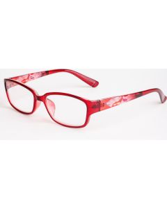 Buy Ready reading glasses with +2.5 diopters | Florida Online Pharmacy | https://florida.buy-pharm.com