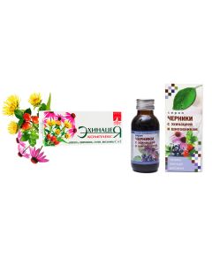 Buy Bioinventics. Complex for immunity 'Echinacea', 40 dragees + Blueberry + rosehip syrup 'Bioinventica', 100 ml. | Florida Online Pharmacy | https://florida.buy-pharm.com