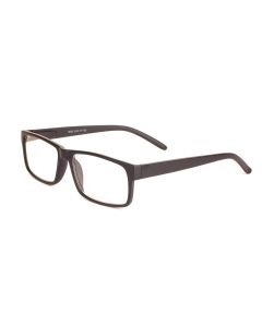 Buy Ready reading glasses with +1.25 diopters | Florida Online Pharmacy | https://florida.buy-pharm.com