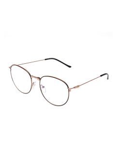 Buy Ready reading glasses with +2.5 diopters | Florida Online Pharmacy | https://florida.buy-pharm.com