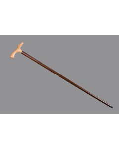 Buy Crocodile cane | Florida Online Pharmacy | https://florida.buy-pharm.com