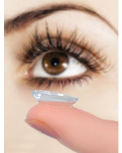 Buy Contact lenses 365DAY 365Day / 3 months Quarterly, -8.50 / 14.0 / 8.6, transparent, 2 pcs. | Florida Online Pharmacy | https://florida.buy-pharm.com