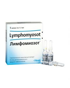 Homeopathic composition - Lymphomyozot solution for in / mouse. injection 1.1 ml ampoules ind.up. 5 pieces. florida Pharmacy Online - florida.buy-pharm.com