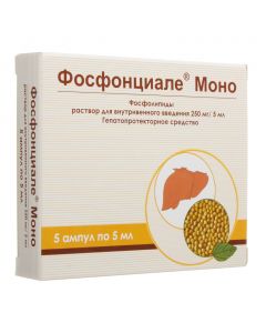 Phospholipids - Fosfontsiale Mono solution for iv. introduced. 250 mg / 5 ml ampoules 5 pcs. florida Pharmacy Online - florida.buy-pharm.com