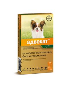 Ymydaklopryd, moksydektyn - Lawyer drops on the withers for dogs up to 4 kg pipette 1 pc. florida Pharmacy Online - florida.buy-pharm.com