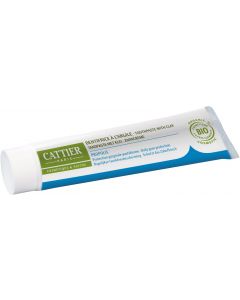Buy Dentargil toothpaste with propolis for gum protection # CATTIER, 75 ml  | Florida Online Pharmacy | https://florida.buy-pharm.com