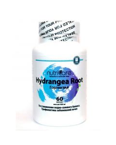Buy Hydrangea to improve the condition of the genitourinary system, 60 capsules, Nutricare International Inc. (USA) | Florida Online Pharmacy | https://florida.buy-pharm.com