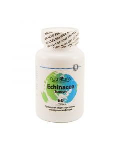 Buy Echinacea for strengthening the immune system, 60 caps, Nutricare International Inc. (USA) | Florida Online Pharmacy | https://florida.buy-pharm.com