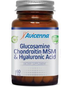 Buy Avicenna Glucosamine Chondroitin MSM Gialouranovaya acid and 60 tablets of 1150 mg | Florida Online Pharmacy | https://florida.buy-pharm.com