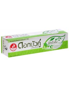Buy Twin Lotus Toothpaste 'Herbal Original' With herbs original, 100 g | Florida Online Pharmacy | https://florida.buy-pharm.com