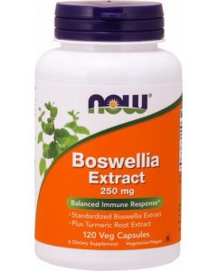 Buy Now Foods Boswellia 120 capsules, 250 mg (dietary supplement) | Florida Online Pharmacy | https://florida.buy-pharm.com