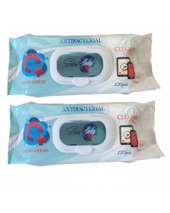 Buy Snow Lady antibacterial wipes 120 pcs. 2 pack. | Florida Online Pharmacy | https://florida.buy-pharm.com