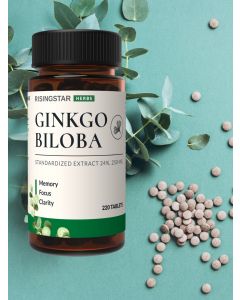 Buy Hygko biloba leaf extract, vitamins for the brain and nervous system, memory improvement and attention, tab. 220 | Florida Online Pharmacy | https://florida.buy-pharm.com