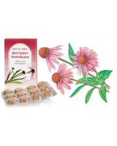 Buy Doctor Theiss tablets with Echinacea extract No. 24 | Florida Online Pharmacy | https://florida.buy-pharm.com
