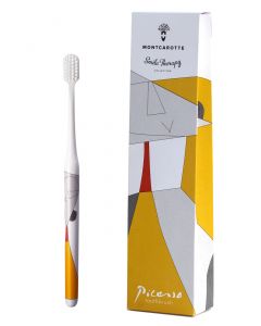 Buy Picasso's toothbrush from the collection of Abstract Artists  | Florida Online Pharmacy | https://florida.buy-pharm.com