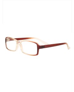 Buy Ready-made glasses BOSHI 107 Brown (+2.50) | Florida Online Pharmacy | https://florida.buy-pharm.com