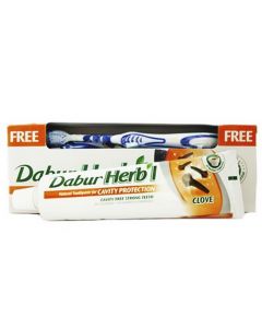 Buy Toothpaste Dabur Herbl Clove Cavity Protection, 150 g with a brush | Florida Online Pharmacy | https://florida.buy-pharm.com