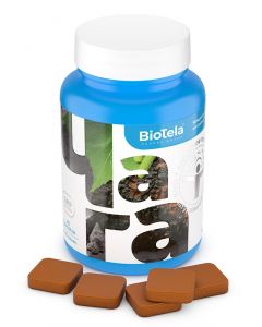 Buy Biotela 'Chaga with cinnamon', concentrate for preparing a drink, 45 briquettes | Florida Online Pharmacy | https://florida.buy-pharm.com