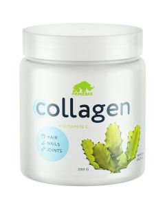Buy Dietary supplement (BAA) for food 'Collagen' with taste 'Tropical cactus' | Florida Online Pharmacy | https://florida.buy-pharm.com