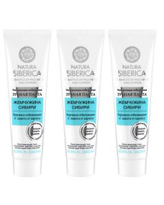 Buy Natura Siberica Pearl of Siberia toothpaste 100 g * 3 pcs | Florida Online Pharmacy | https://florida.buy-pharm.com