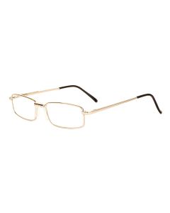 Buy Ready reading glasses with +2.5 diopters | Florida Online Pharmacy | https://florida.buy-pharm.com