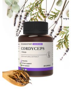 Buy Cordyceps mushroom with mummy natural antibiotic and immunomodulator 60 caps | Florida Online Pharmacy | https://florida.buy-pharm.com