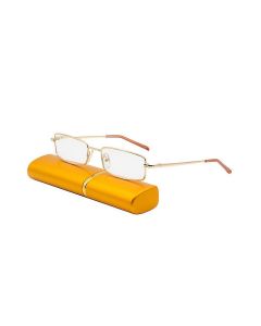 Buy Reading glasses in a case with a napkin and a cord +2.5 | Florida Online Pharmacy | https://florida.buy-pharm.com