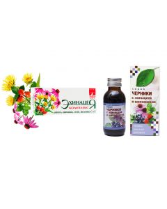 Buy Bioinventics. Complex for immunity 'Echinacea', 40 dragees + Blueberry + rosehip syrup 'Bioinventica', 100 ml. | Florida Online Pharmacy | https://florida.buy-pharm.com