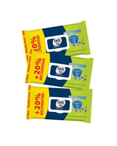 Buy Emily Style wet wipes Antibacterial 120 pcs., package with lid (+ 20% FREE), (3 packs) | Florida Online Pharmacy | https://florida.buy-pharm.com