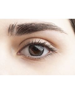 Buy Geo Medical Dark colored contact lenses 12 months, 0.00 / 14.2 / 8.6, dark gray, 2 pcs. | Florida Online Pharmacy | https://florida.buy-pharm.com