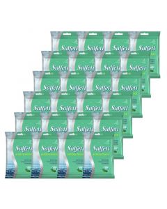Buy MEGAPAK Salfeti antibacterial wet wipes 20pcs (24) | Florida Online Pharmacy | https://florida.buy-pharm.com